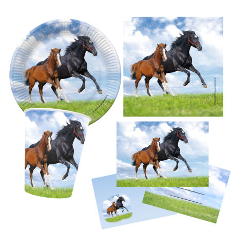 Partyset Pferd und Freunde