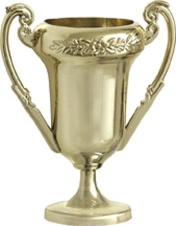 Mini Gewinner Pokal - Mitgebsel für den Detektiv Kindergeburtstag