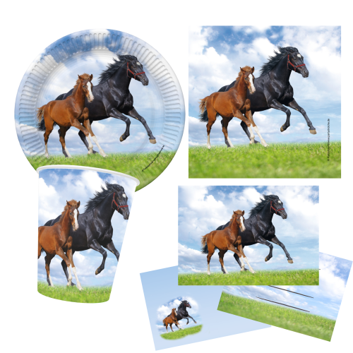 Partyset Pferd und Freunde