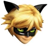 Papiermasken Cat Noir Miraculous